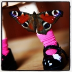 #butterfly